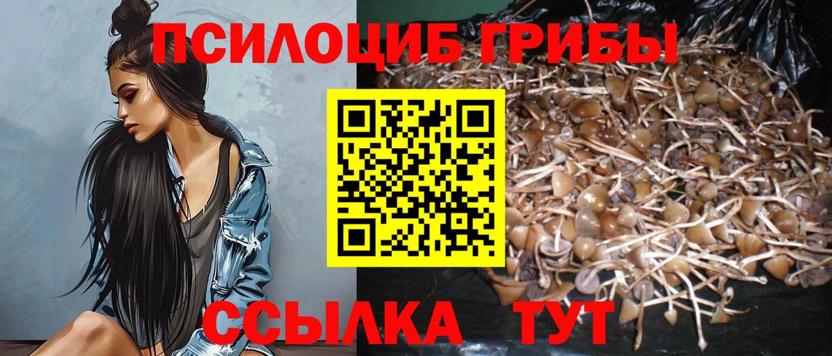 Галлюциногенные грибы прущие грибы  Вход с VPN  Гусь-Хрустальный 